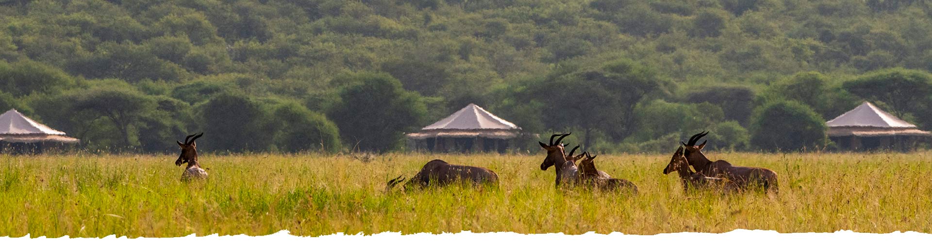 Sustainable-&-conscious-travelling-Tanzania-Header