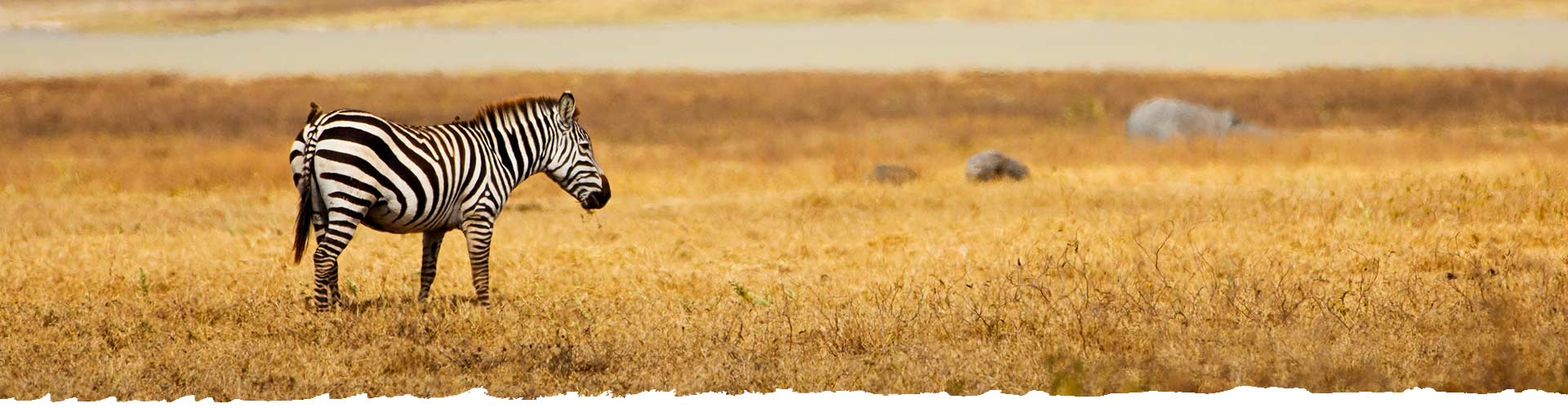Explore-Tanzania-Guided-Safari-Tours-What-We-Offer-header