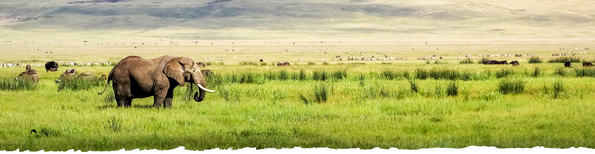 Explore-Tanzania-Private-Guided-Safari-Guarantee-scheme-emergency-fund-header