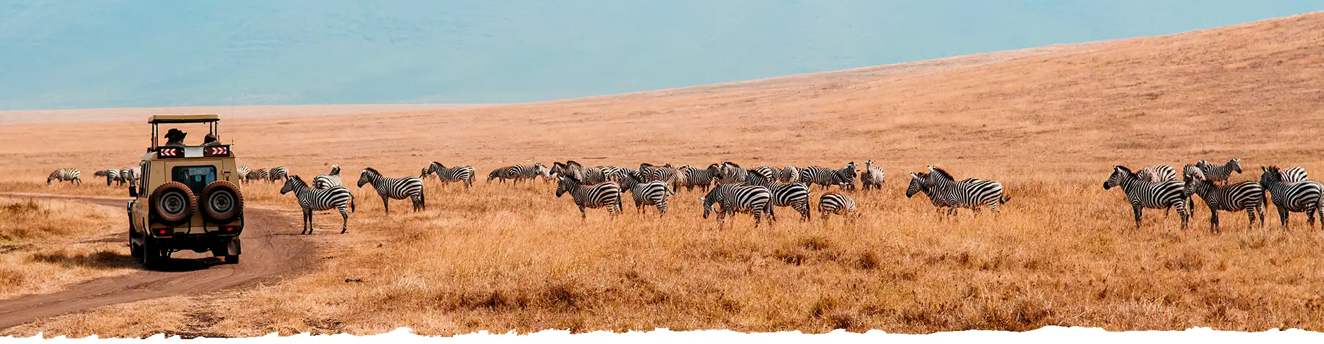 Travelling in Tanzania-Private Guided Safari