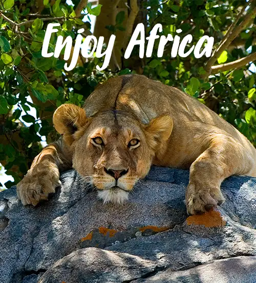 Private-Guided-Safaris-Sustainable-travelling-Tanzania