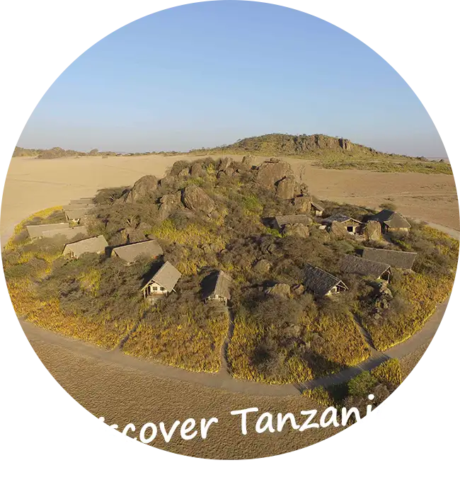 Private-Guided-Safaris-Tanzania-Client-Feedback-Reviews