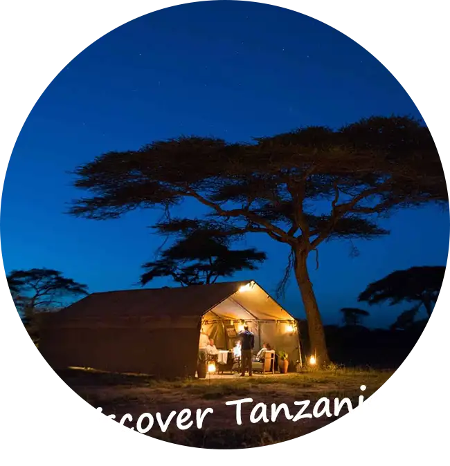 Private-Guided-Safaris-Tanzania-Contact-us