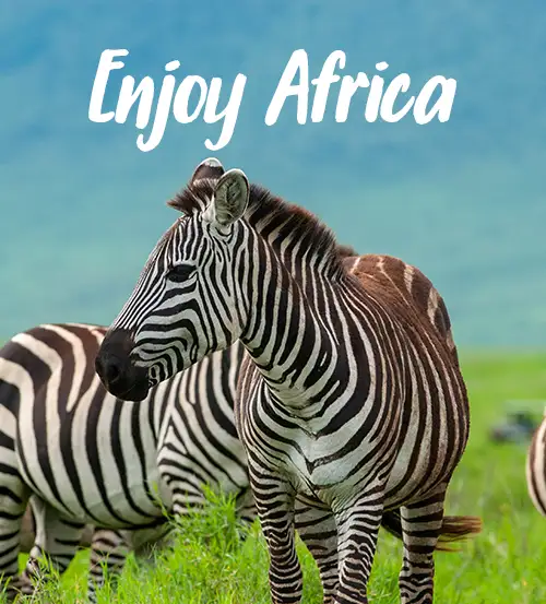 Private-Guided-Safaris-Tanzania-Guarantee-scheme