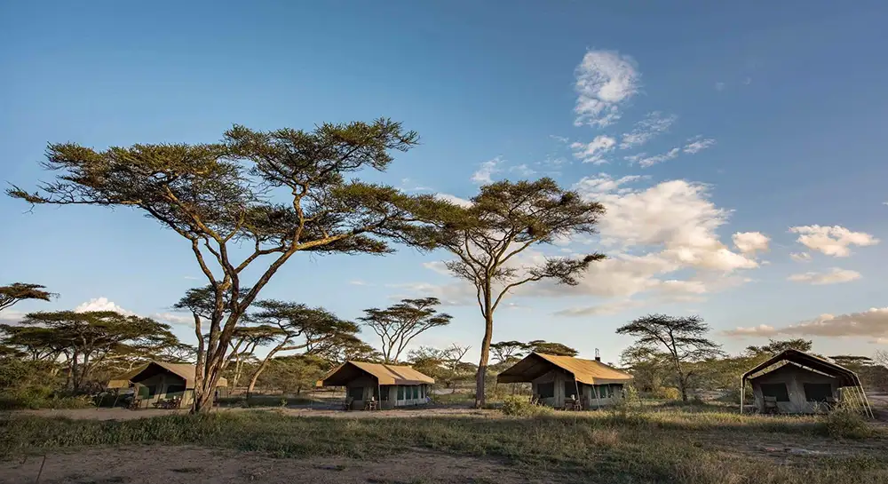 Private-Guided-Safaris-Tanzania-Guarantee-scheme