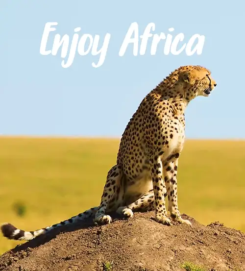 Private-Guided-Safaris-Tanzania-Quotations