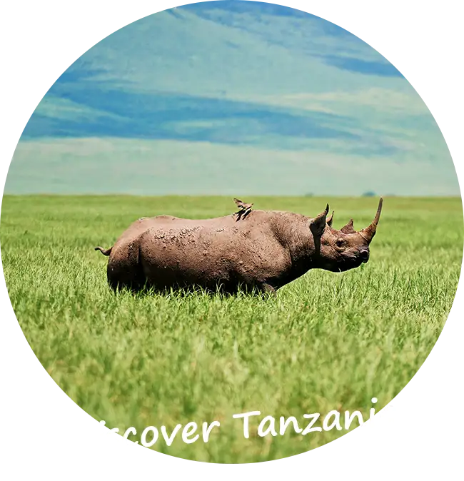 Privé-Safaris-Tanzania-Bedankt-Contact-Opnemen