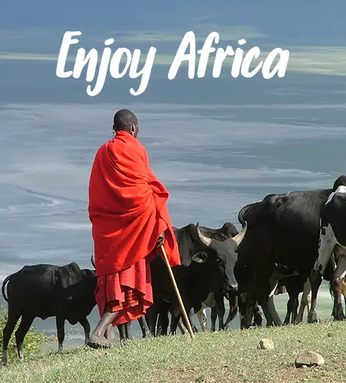 Private-Guided-Safaris-Tanzania-Thank-You
