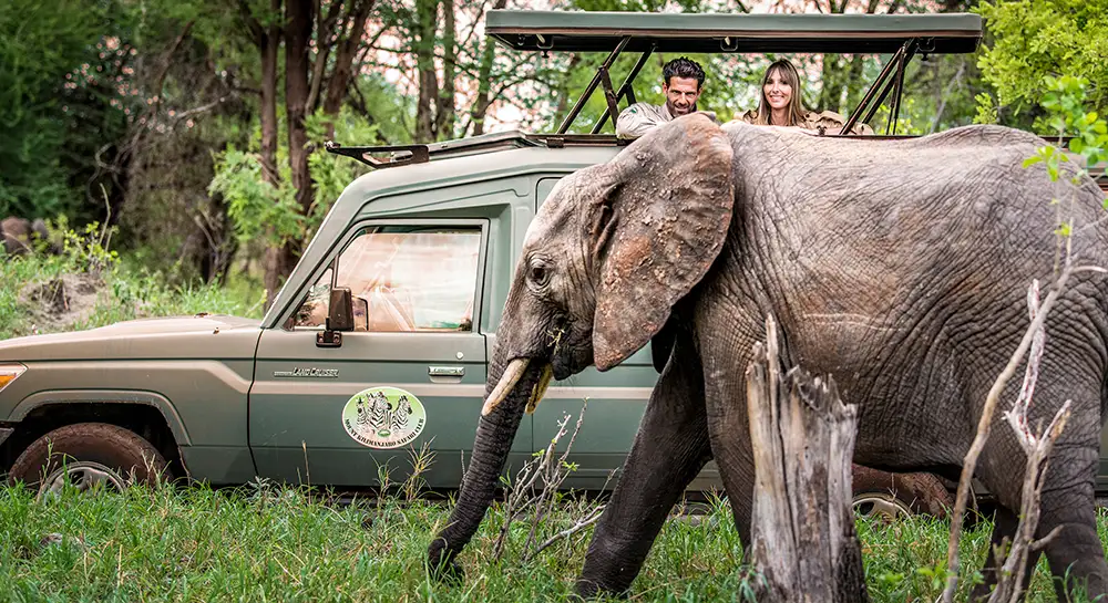 Private-Guided-Safaris-Tanzania-What-We-Offer