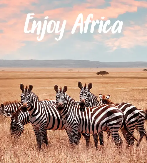 Private-Guided-Safaris-Tanzania-What-We-Offer